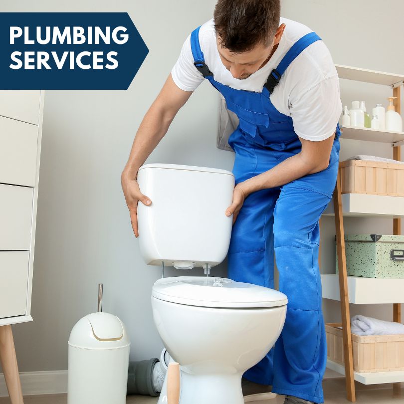 Plumbing Company in Lamoille, NV